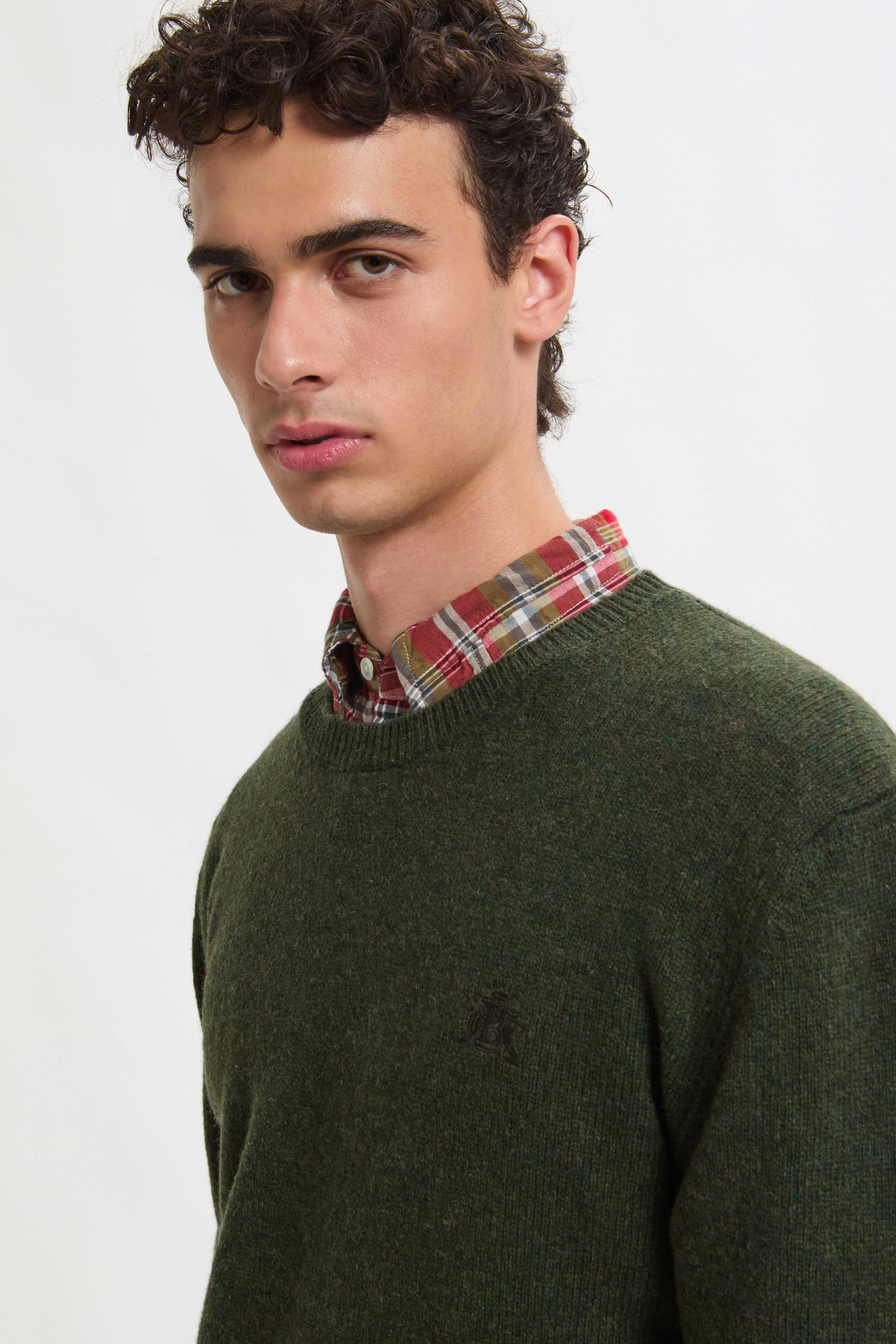 Shetland Crewneck - Image 4